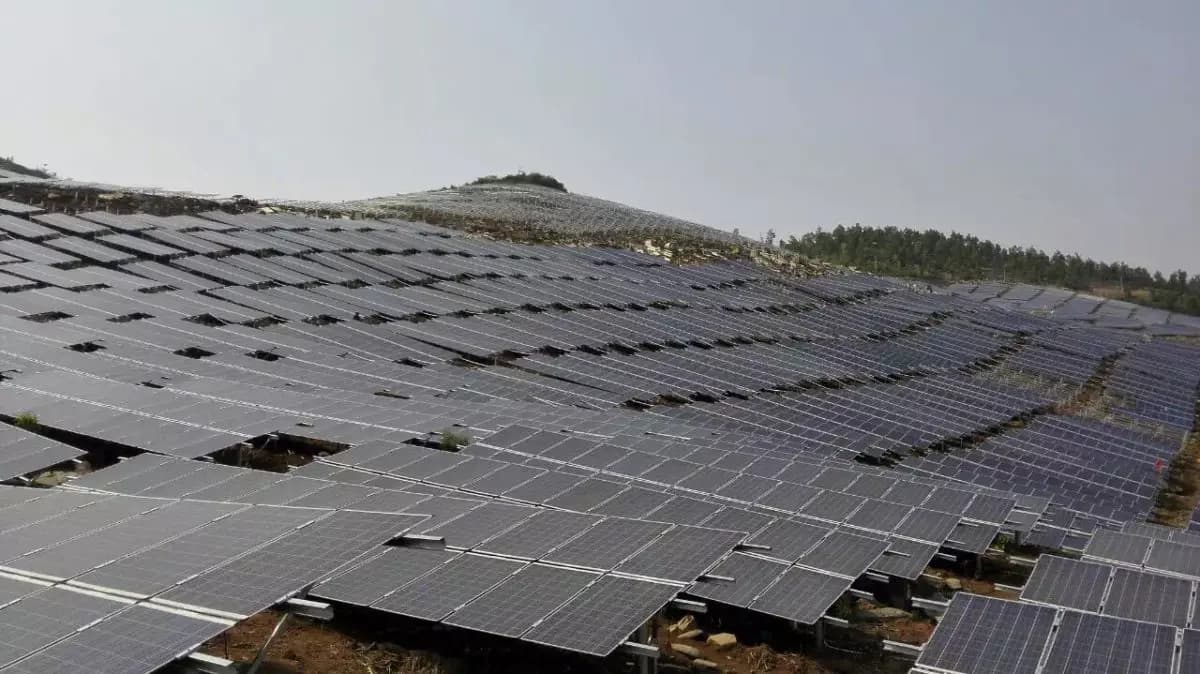 Scaling Solar for Sustainable Agriculture and Energy Security